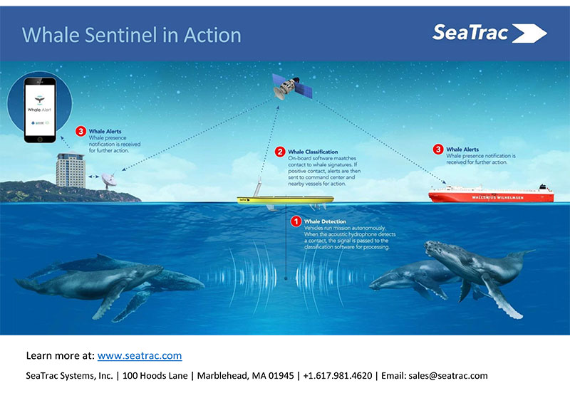 SeaTrac’s Whale Sentinel Finalist for $100,000 Ocean Innovation Award
