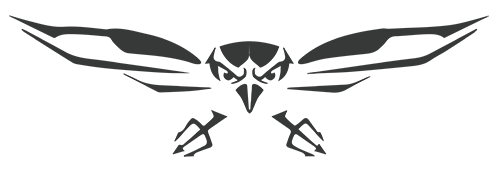 SeaHawk F4 marine UAV logo