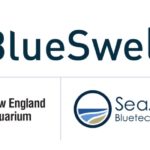 Blue Swell, New England Aquarium and SeaAhead